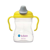 B.Box Spout Cup