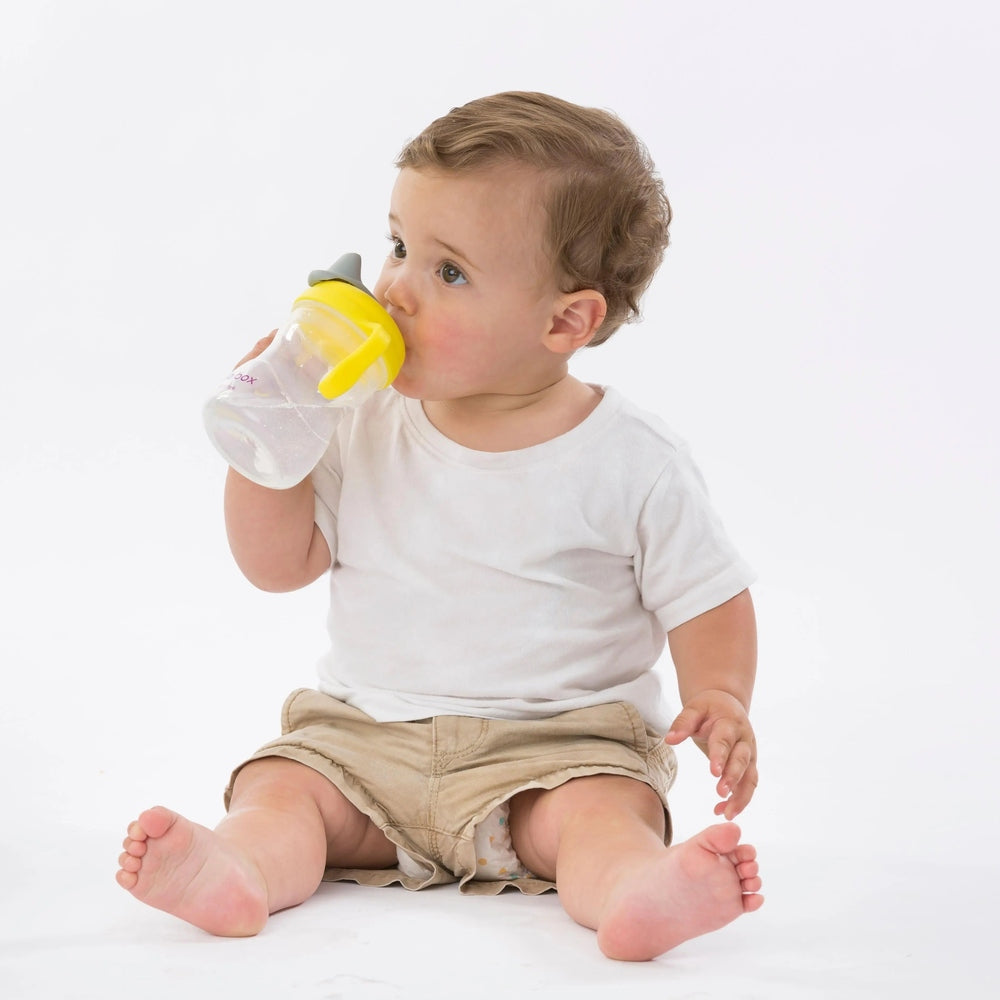 B.Box Spout Cup