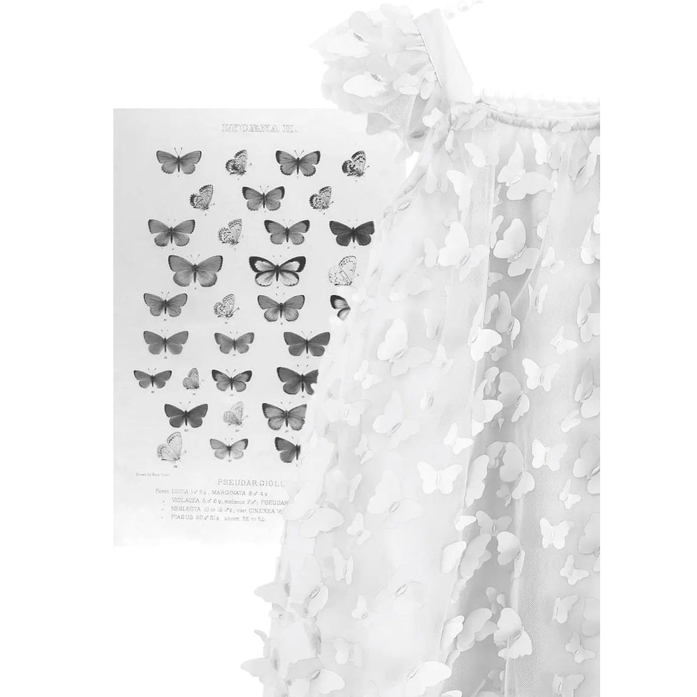 Dolly By Le Petit Tom Allover Butterflies Tutu Dress White