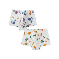 Nest Designs Bamboo Jersey Boys Boxer Briefs Underwear 2 Pack Harvest Time