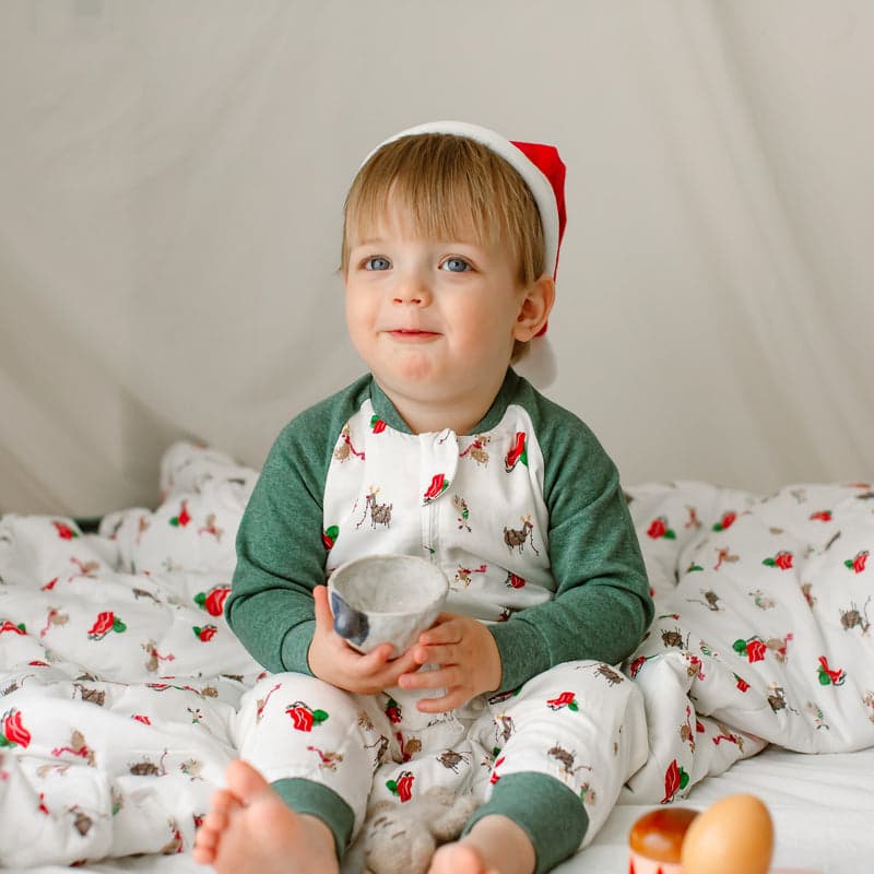 Nest Designs Bamboo Jersey Long Sleeve Footed Sleep Bag 2.5 Tog Sleigh All Day; toddler in white sleigh-print sleep bag with green cuffs.