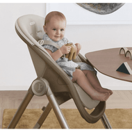 Peg Perego Living High Chair