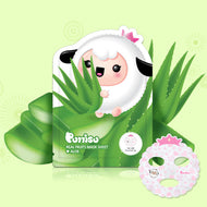 Puttisu Real Fruit Mask Sheet Aloe