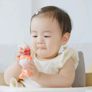 Quark Fruuti Baby Fruit Feeder Pacifier