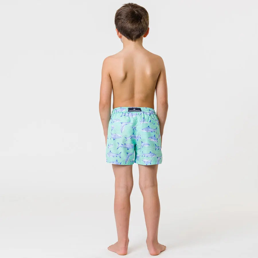 Snapper Rock Minty Shark Volley Board Short