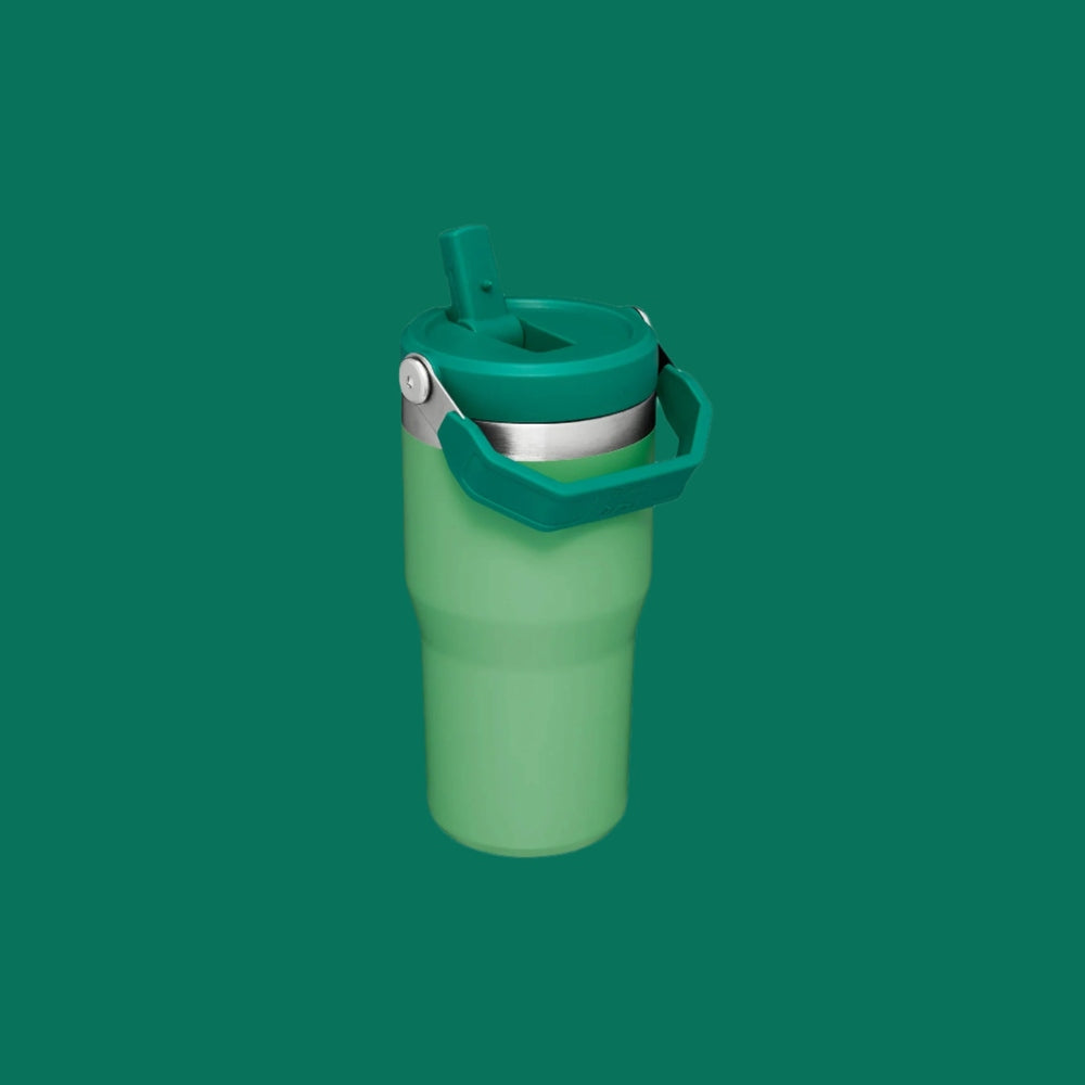 Stanley IceFlow Flip Straw Tumbler 20 oz in green with teal lid and carry handle