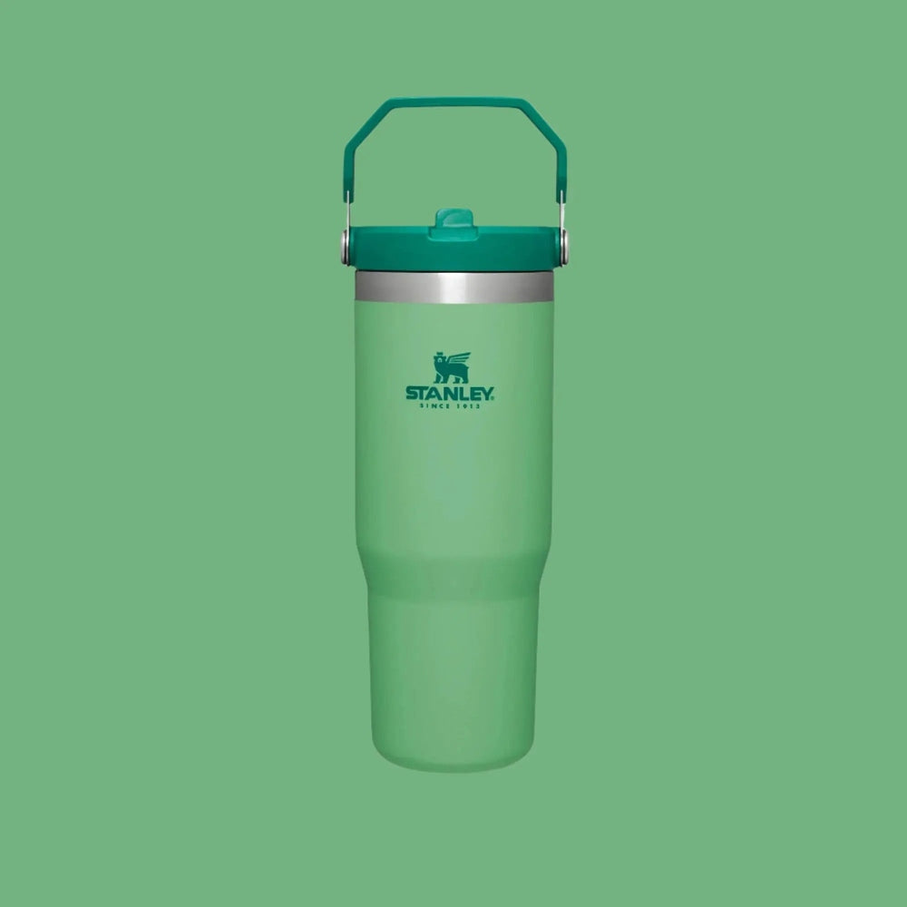 Stanley The Iceflow Flip Straw Tumbler 30 oz in green with teal lid and carry handle, ready to tote.