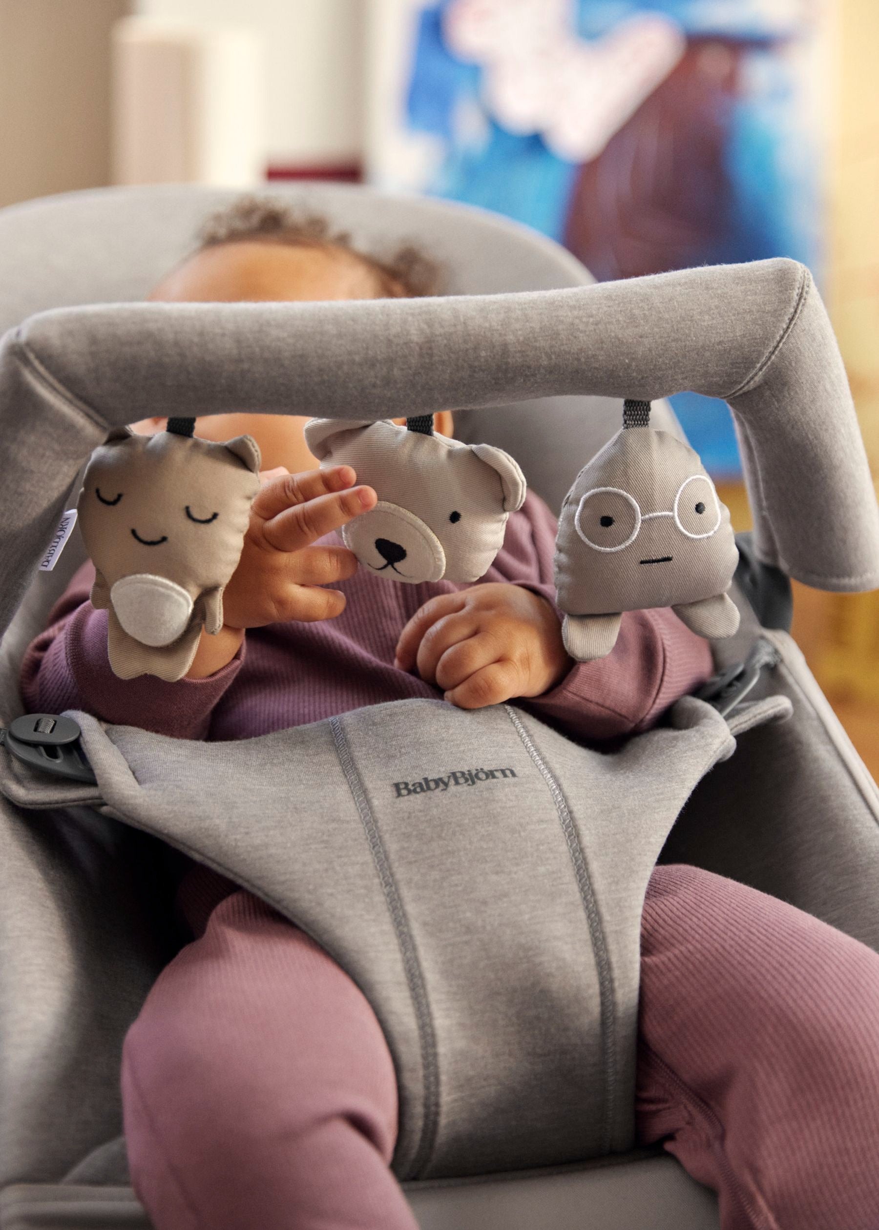 BabyBjörn Bouncer Toy