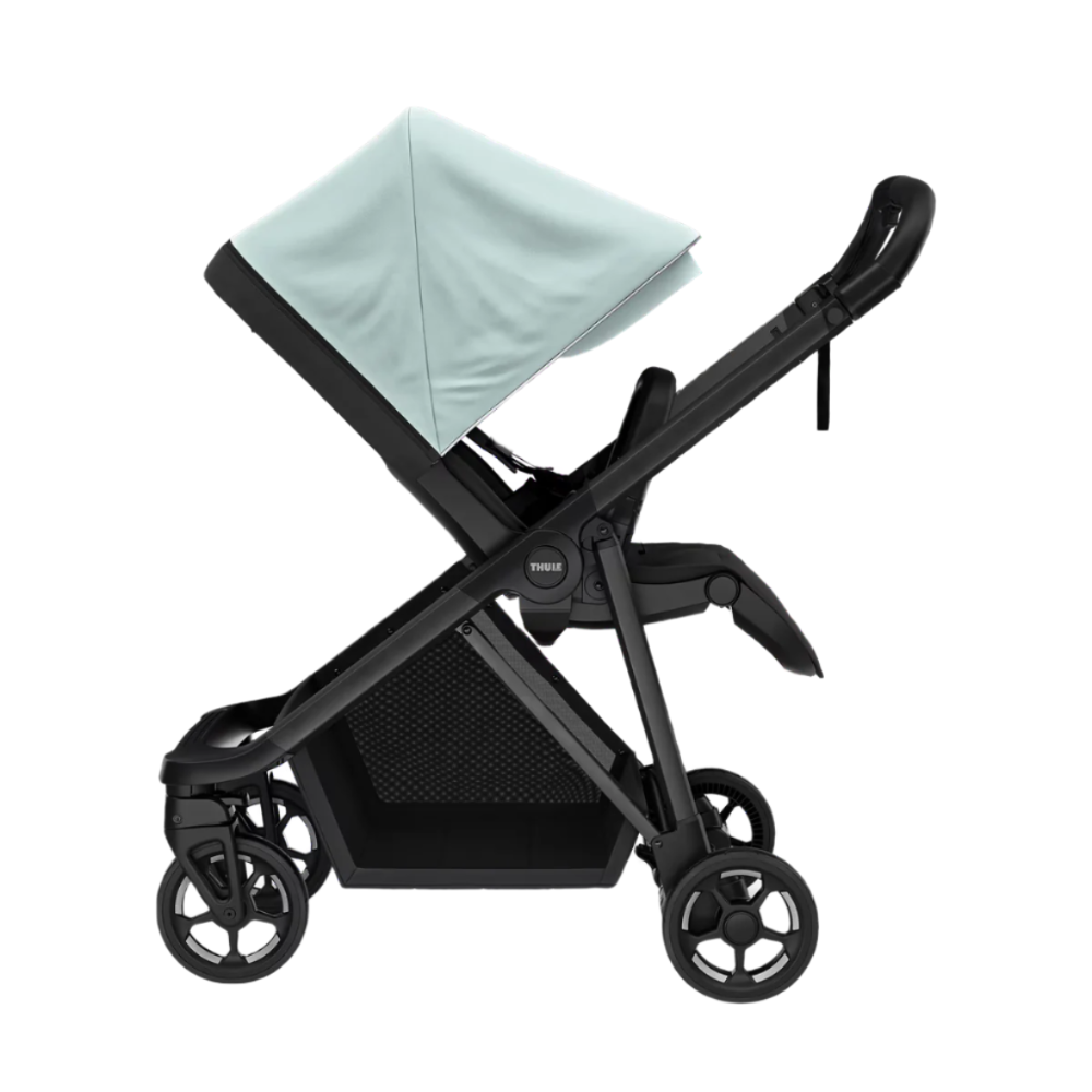 Thule Shine