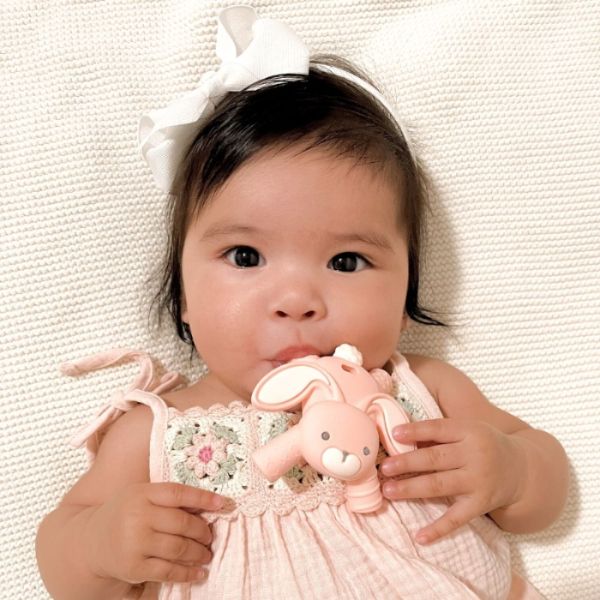 Itzy Ritzy baby molar teether pink bunny