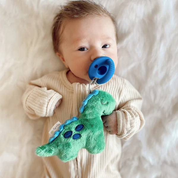 Itzy Ritzy Sweetie Pal Pacifier & Stuffed Anima