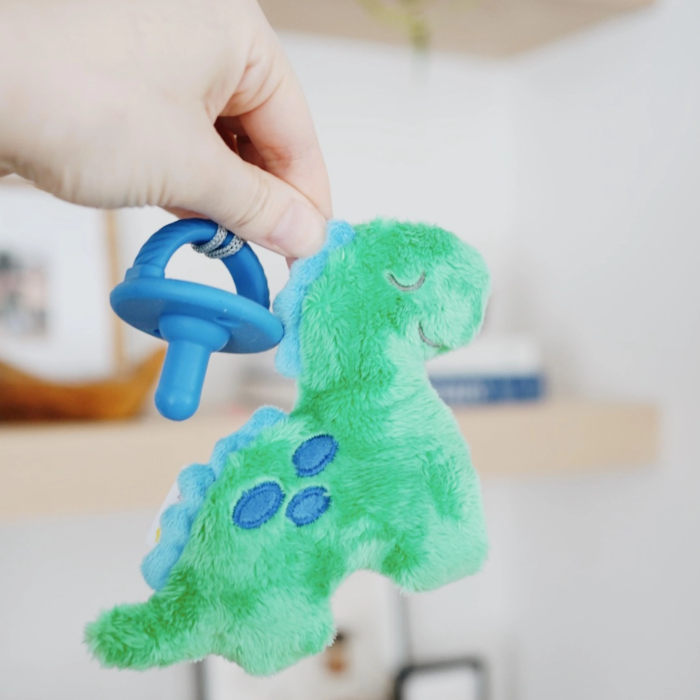 Itzy Ritzy Sweetie Pal Pacifier & Stuffed Anima