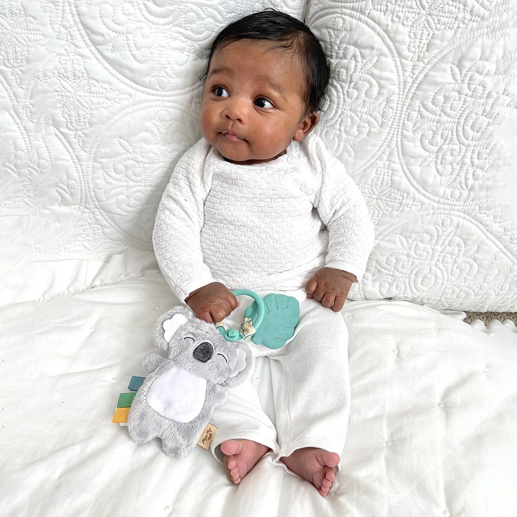 ITZY RITZY PAL PLUSH AND TEETHER