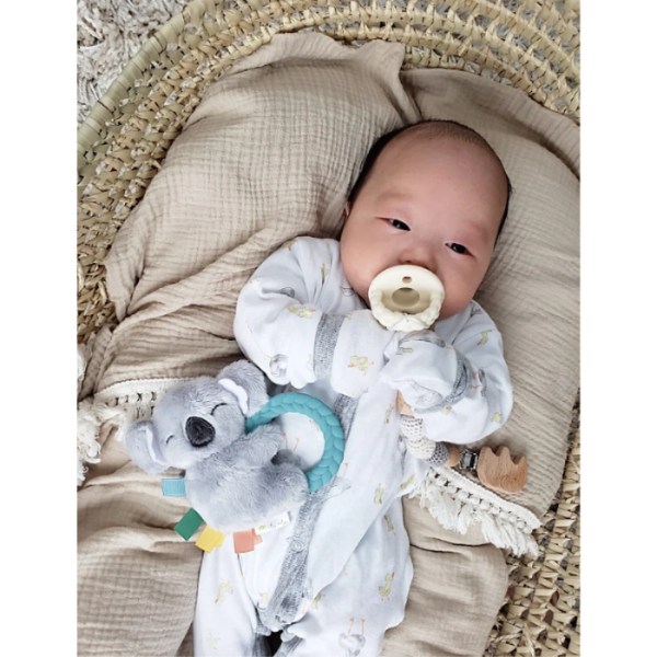 Itzy Ritzy Ritzy Rattle Pal Plush Rattle With Teether
