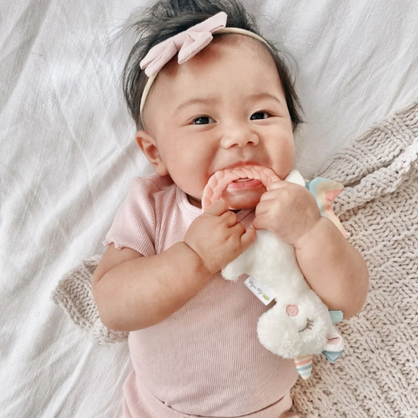ITZY RITZY RITZY RATTLE PAL PLUSH RATTLE WITH TEETHER - baby enRoute