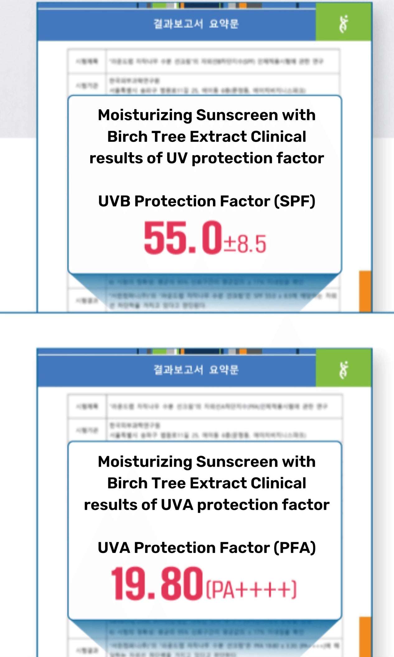 Round Lab Birch Moisturizing Sunscreen SPF50 50 ml