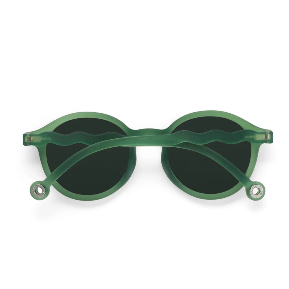 Olivio & Co Oval Sunglasses Adult Classic Olivio Olive Green