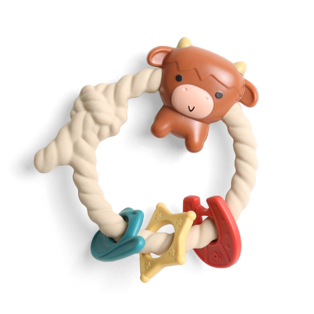 Itzy Ritzy Rattle Silicone Teether