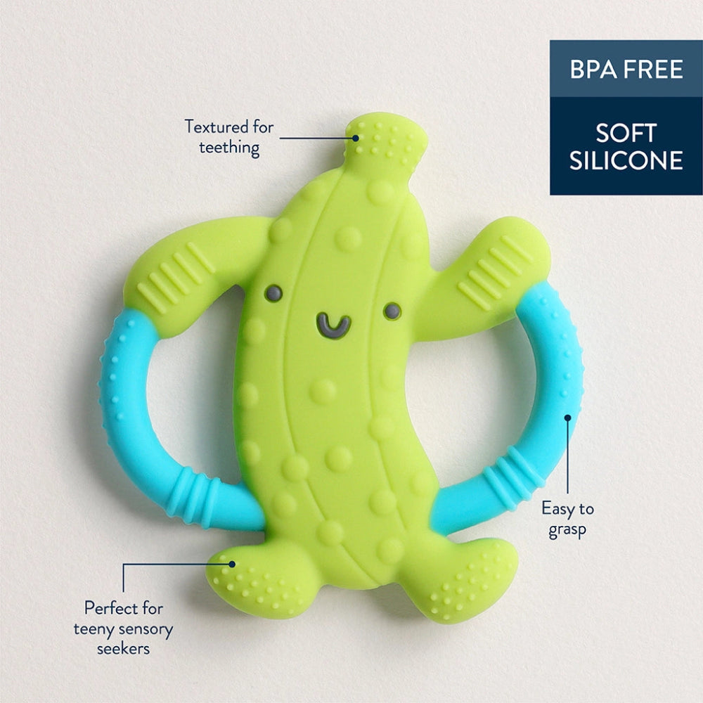 Itzy Ritzy Chew Crew cactus teether green with blue handles
