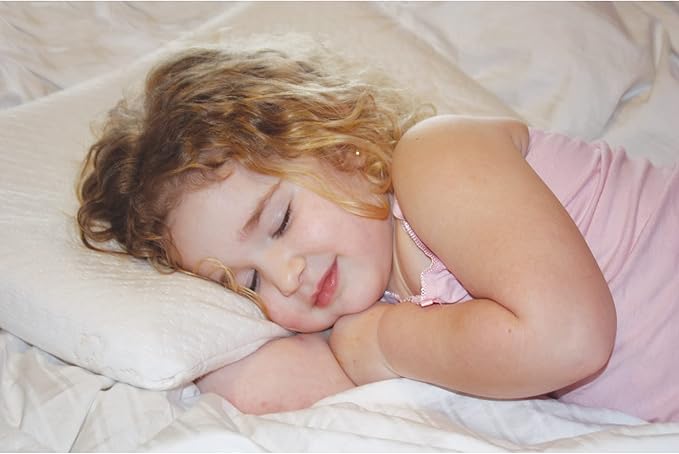 BABYWORKS TODDLER PILLOWCASE REPLACEMENT