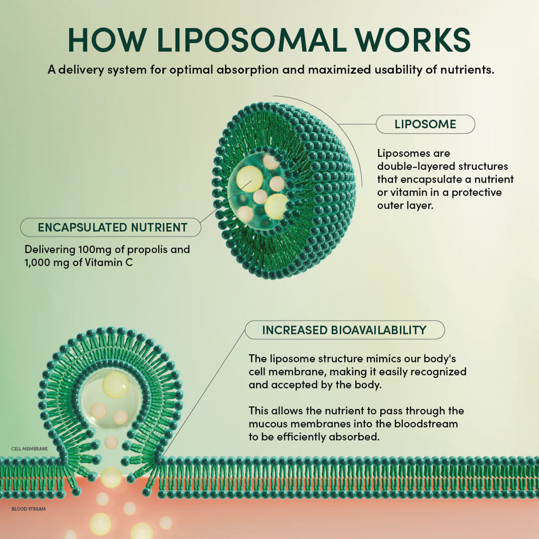 Beekeeper's Naturals Propolis + Vitamin C Liposomal 12 ct