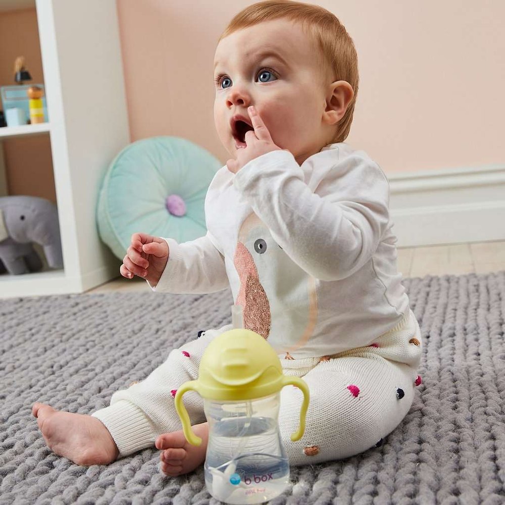 B.Box New Sippy Cup Gelato Edition