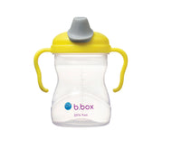 B.Box Spout Cup