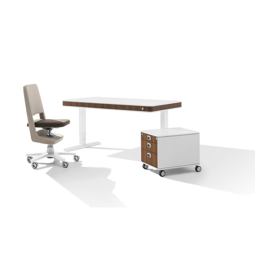 Moll S9 Beige/Dark Brown 