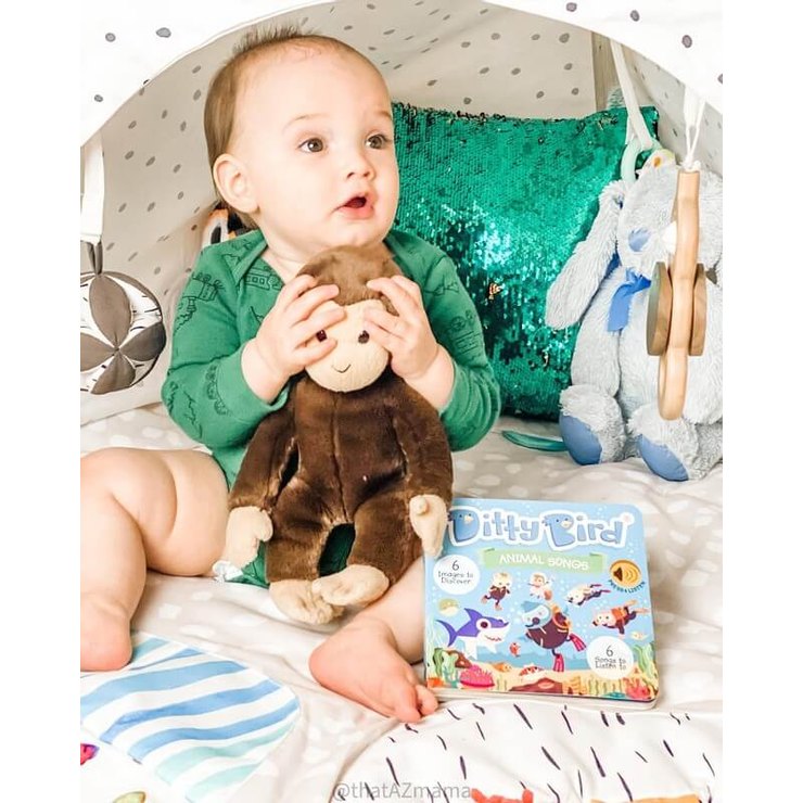 Ditty Bird Sound Book Animal Songs Baby Shark
