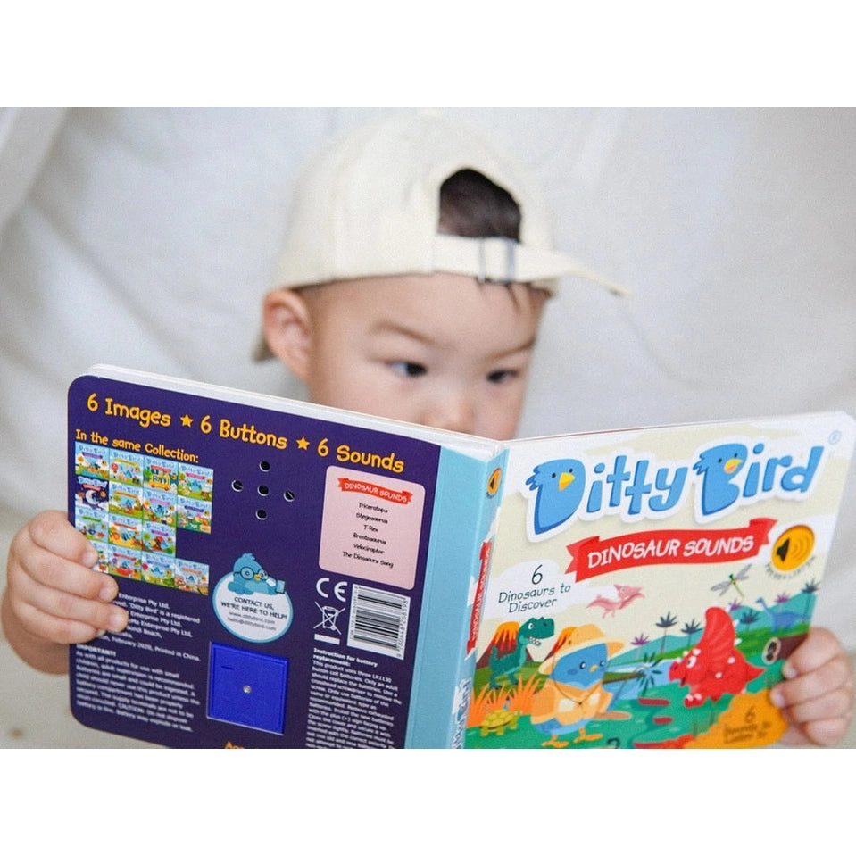 Ditty Bird Sound Book Dinosaur Sounds USB-C Rechargeable