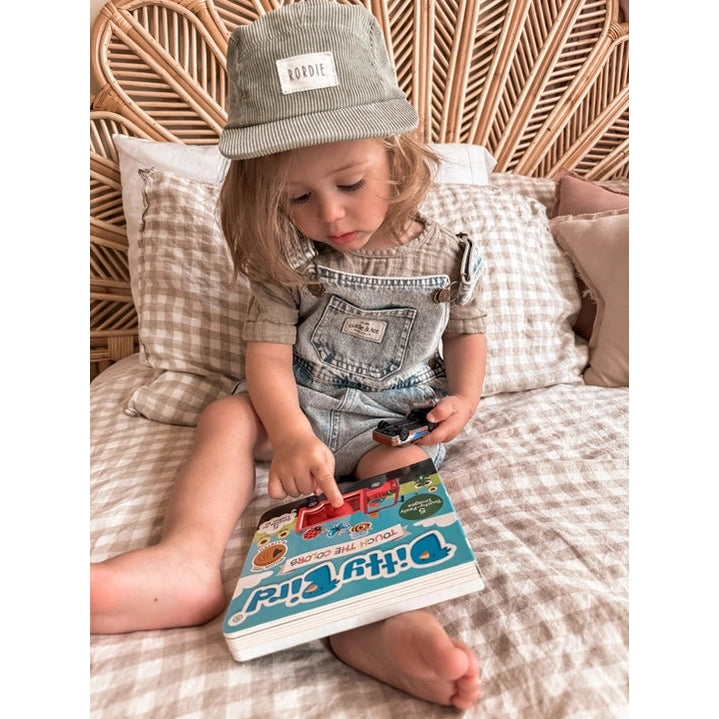 Ditty Bird Sound Book Touch the Colors USB-C Rechargeable; toddler taps colorful pages to learn colors.