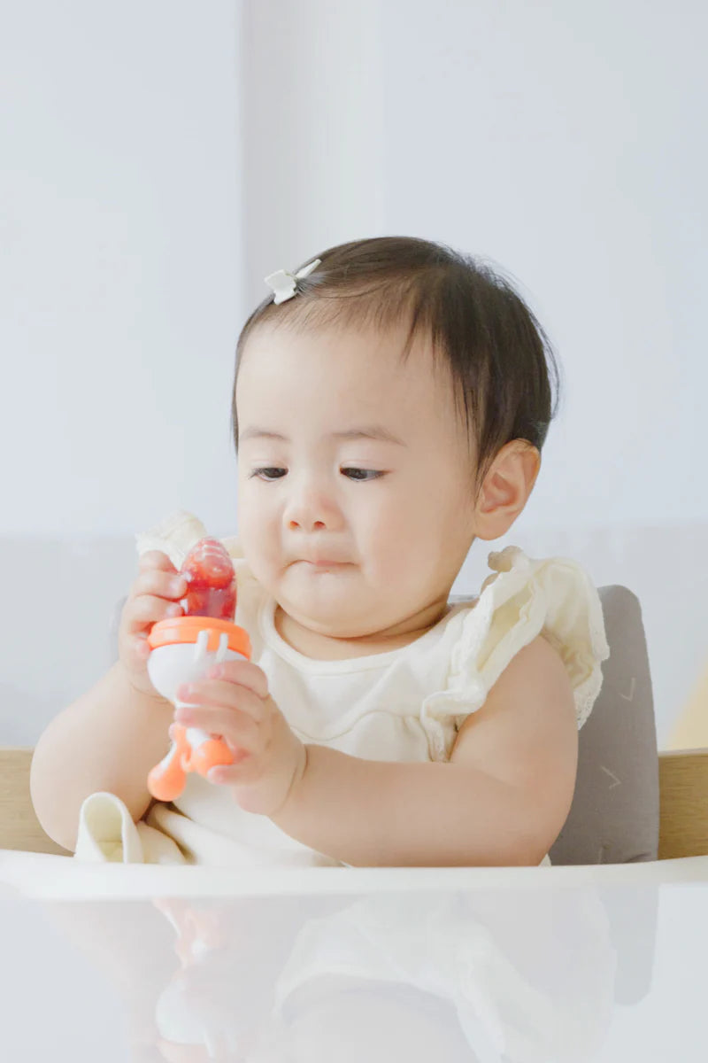 QUARK FRUUTI BABY FRUIT FEEDER PACIFIER - baby enRoute