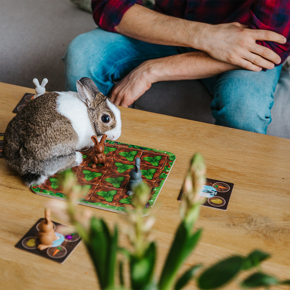 Smart Games Grabbit board game with brown and gray bunny pieces
