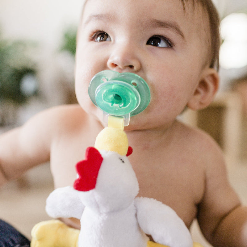 NOOKUMS PACI-PLUSHIES BUDDIES CHICK CHICKEN - baby enRoute