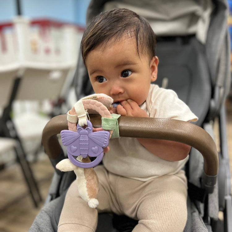 Itzy Ritzy Bitzy Busy Ring teether in purple butterfly attached to stroller bar with a baby