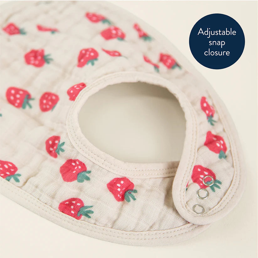 Itzy Ritzy Itzy Bibs
