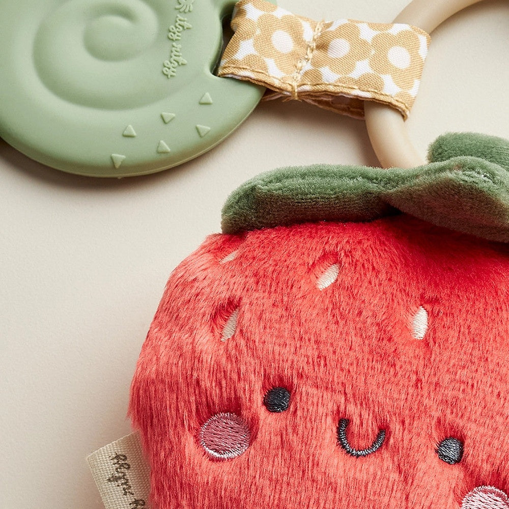 Itzy Ritzy Pal Plush And Teether