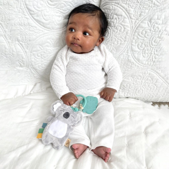 Itzy Ritzy Pal Plush And Teether