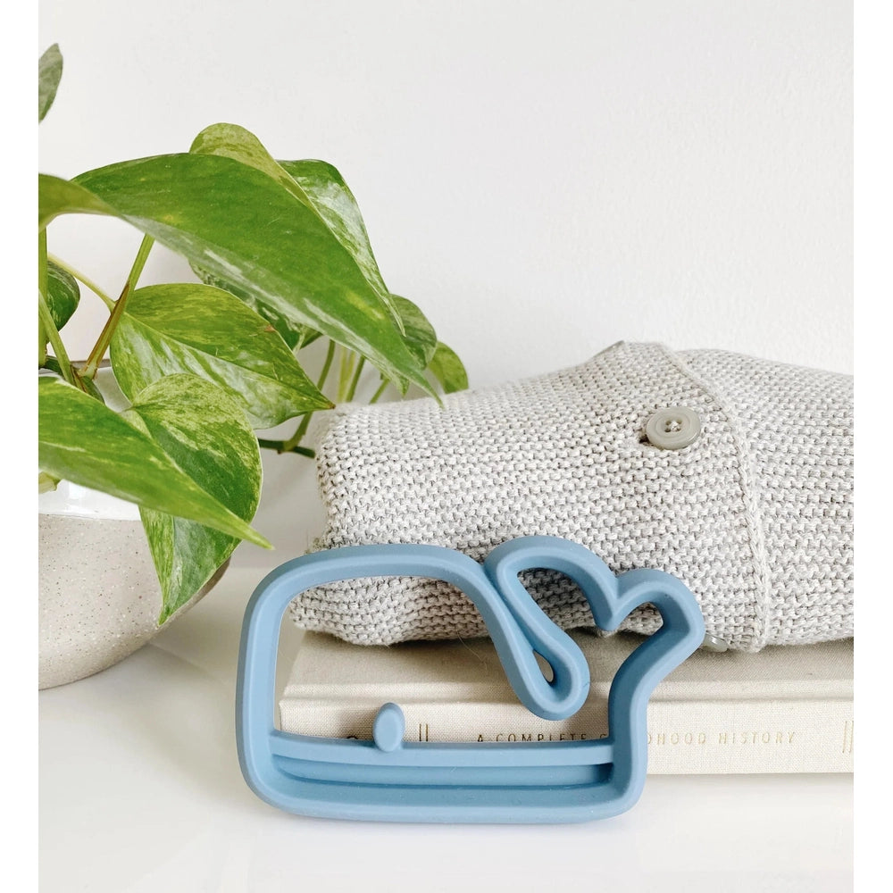Itzy Ritzy Silicone Teether