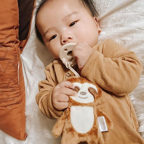 Itzy Ritzy Sweetie Pal Pacifier & Stuffed Anima