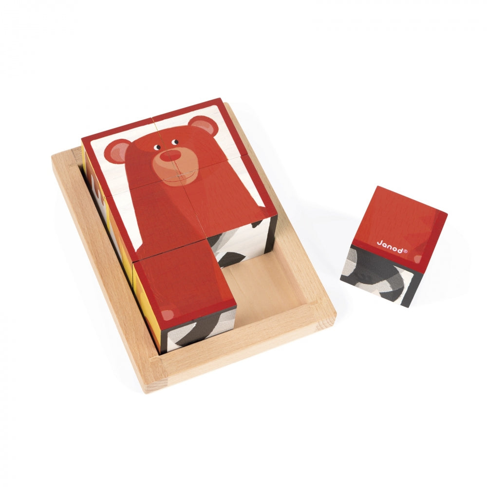 Janod 6 Forest Blocks In Wooden Box