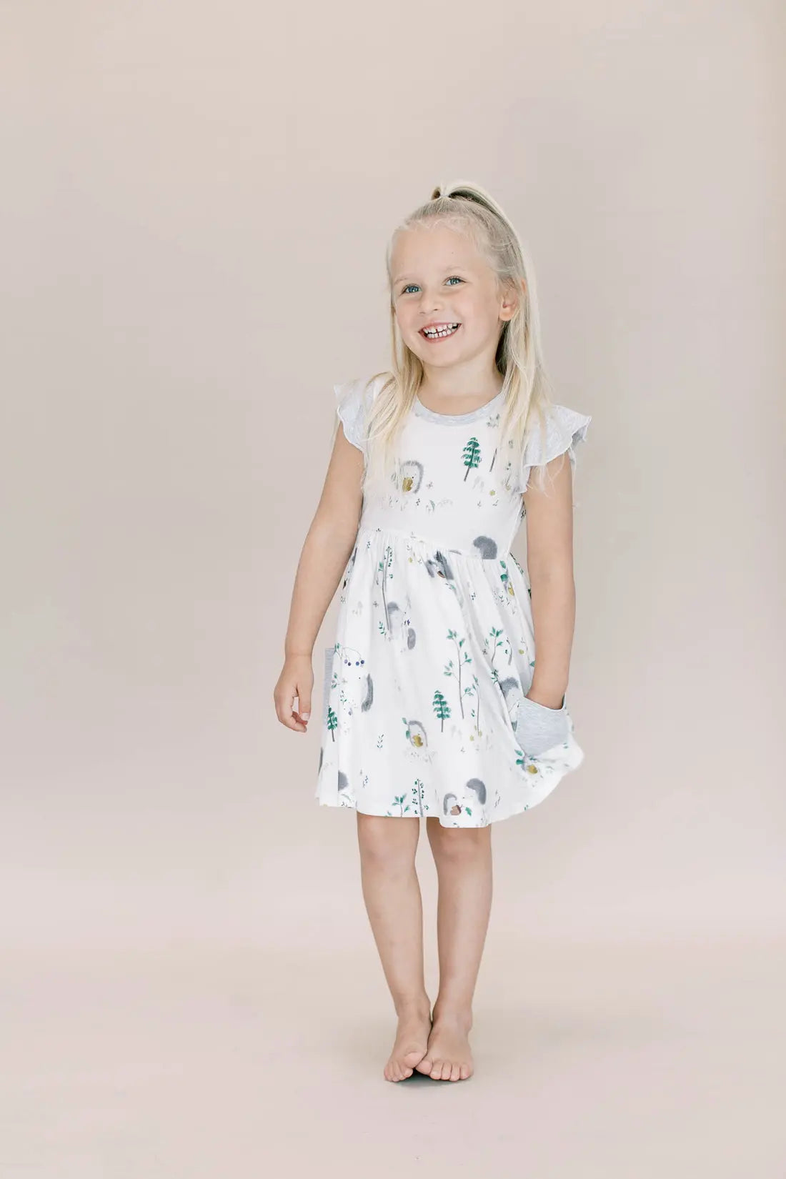 Loulou Lollipop Ruffle Pocket Dress Hedgehogs