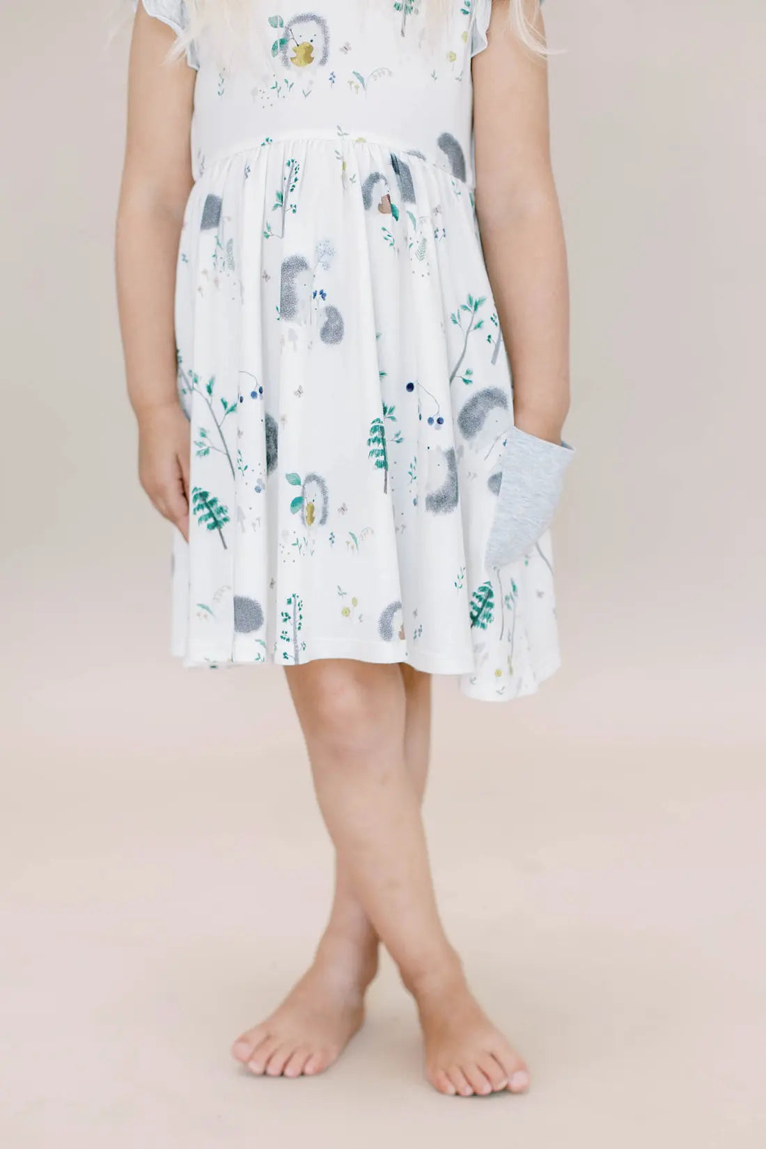 Loulou Lollipop Ruffle Pocket Dress Hedgehogs