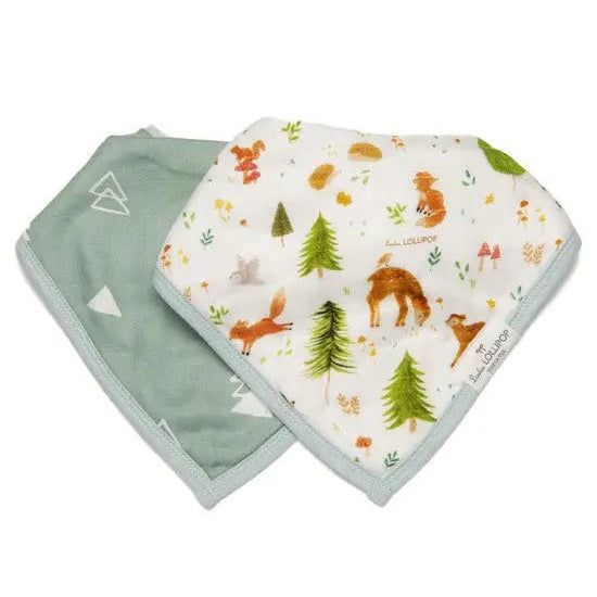 Loulou Lollipop Bandana Bib Set