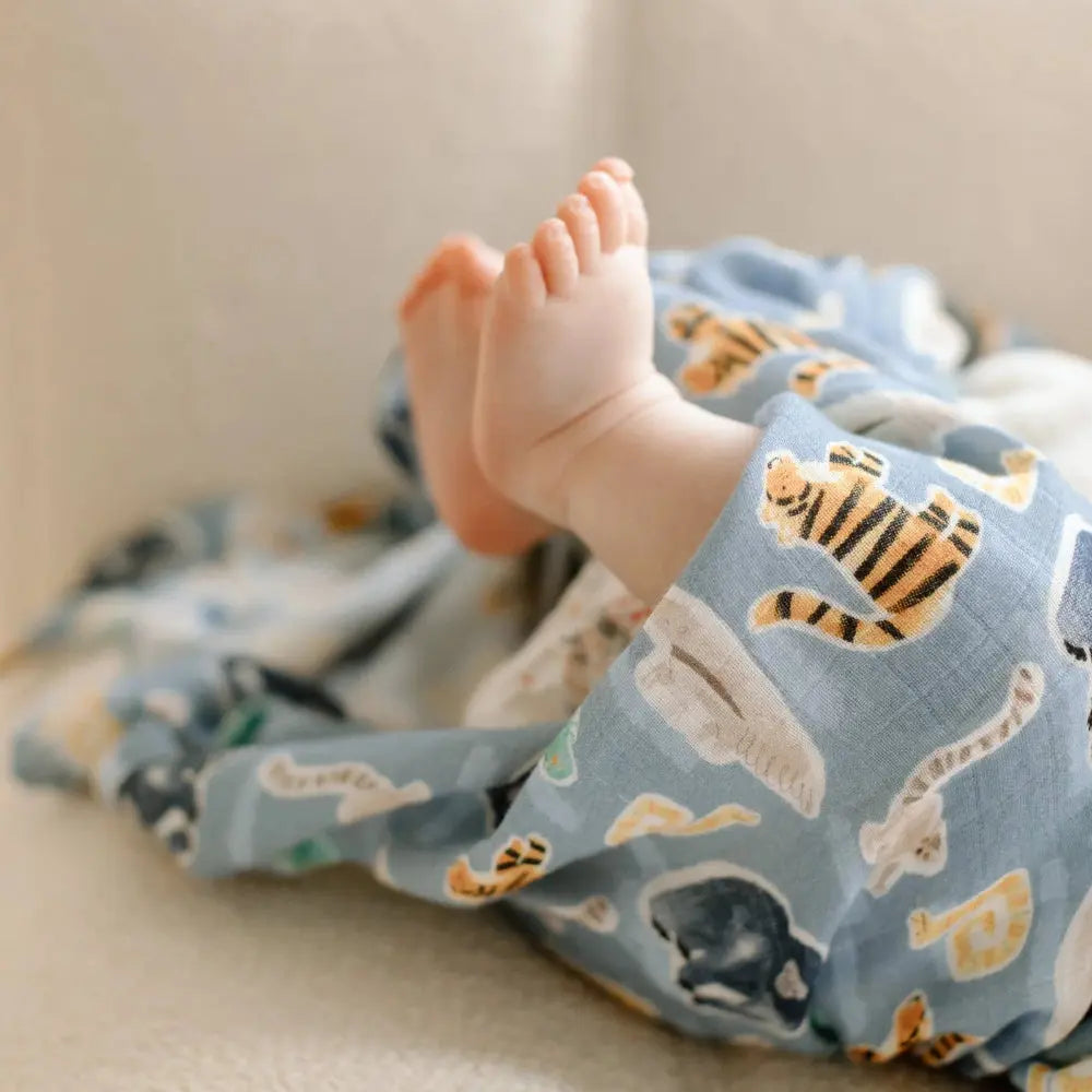 Loulou Lollipop Muslin Swaddle blue blanket gently wraps baby's legs, showcasing soft breathable fabric and tiger print.