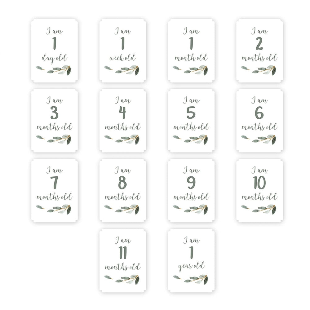 Lulujo All You Need Is Love 12-piece 1st year milestone cards with a leafy motif for capturing baby moments