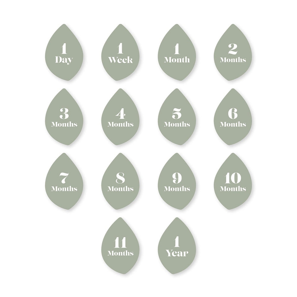 Lulujo 1st Year Milestone Leaves set in sage green for marking baby milestones from day to year