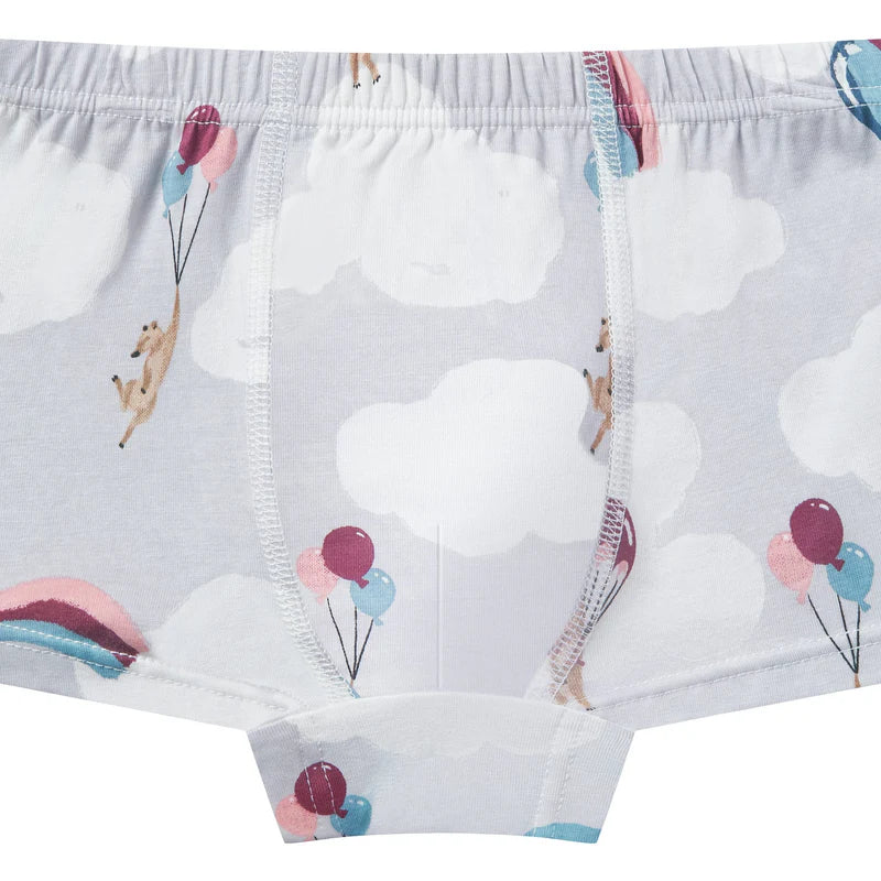 NEST DESIGNS BAMBOO BOYS BOXER BRIEFS UNDERWEAR (2 PACK) SAHARA SKY