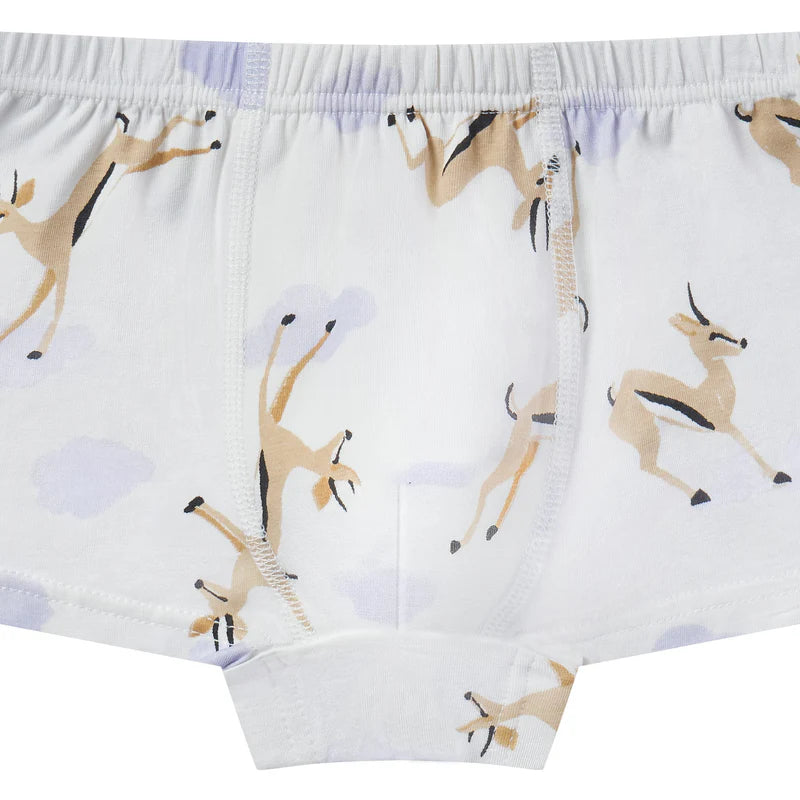 NEST DESIGNS BAMBOO BOYS BOXER BRIEFS UNDERWEAR (2 PACK) SAHARA SKY