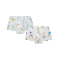 NEST DESIGNS BAMBOO BOYS BOXER BRIEFS UNDERWEAR (2 PACK) PRAIRIE FUN